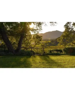 Vigoro Westbrook 36 in. x 48 in. Black Steel Fence Panel (4-Pack) 27 Vigoro Westbrook 36 in. x 48 in. Black Steel Fence Panel (4-Pack) -Vigoro sales Store black vigoro garden fencing 860329 4pk fa 1000