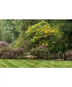 Vigoro Empire/Westbrook 28 in. Black Steel Decorative Fence Gate 22 Vigoro Empire/Westbrook 28 in. Black Steel Decorative Fence Gate -Vigoro sales Store black vigoro garden fencing 860350 fa 1000