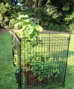 Vigoro 49 in. H Steel No Dig Garden Fence Multi-Purpose Latch (2-Pack) -Vigoro sales Store black vigoro garden fencing 860435 2pk 4f 1000