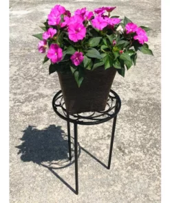 Vigoro 12 in. x 21 in. Black Metal Indoor Round Plant Stand -Vigoro sales Store black vigoro plant stands 51160 44 1000