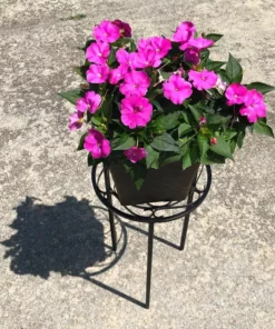 Vigoro 12 in. x 21 in. Black Metal Indoor Round Plant Stand -Vigoro sales Store black vigoro plant stands 51160 fa 1000