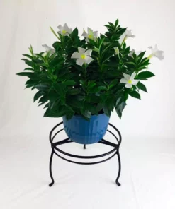 Vigoro 8 in. Black Metal Indoor Plant Stand -Vigoro sales Store black vigoro plant stands 51470 c3 1000