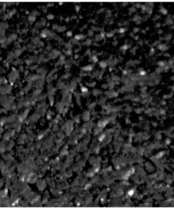 Vigoro EcoBorder 4 ft. Black Rubber Landscape Edging (48-Count/Pallet) -Vigoro sales Store black vigoro rubber edging ecobrd bl 48 1f 1000