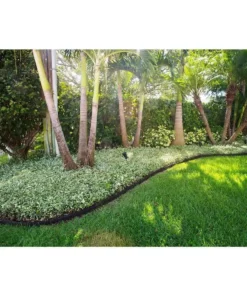 Vigoro EcoBorder 4 ft. Black Rubber Landscape Edging (6-Pack) 18 Vigoro EcoBorder 4 ft. Black Rubber Landscape Edging (6-Pack) -Vigoro sales Store black vigoro rubber edging ecobrd blk 6pk 44 1000