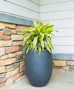 KANTE 21.7 in. H Round Charcoal Concrete/Fiberglass Indoor Outdoor Modern Tall Planter 15 KANTE 21.7 in. H Round Charcoal Concrete/Fiberglass Indoor Outdoor Modern Tall Planter -Vigoro sales Store charcoal kante plant pots osc0066a c60121 4f 1000