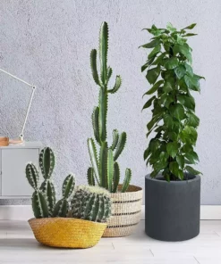 KANTE 15.8 in. x 12.9 in. and 9.8 in. W Round Charcoal Concrete/Fiberglass Indoor Outdoor Elegant Planters -Vigoro sales Store charcoal kante plant pots osc0119abc c60121 1f 1000