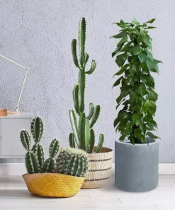 KANTE 12.9 in. W Round Charcoal Concrete/Fiberglass Indoor Outdoor Elegant Planter