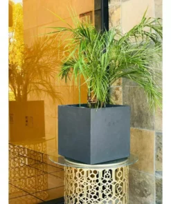 KANTE 12 in. H Square Charcoal Concrete/Fiberglass Indoor Outdoor Elegant Planter -Vigoro sales Store charcoal kante plant pots osf0001b c60121 76 1000