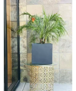 KANTE 12 in. H Square Charcoal Concrete/Fiberglass Indoor Outdoor Elegant Planter -Vigoro sales Store charcoal kante plant pots osf0001b c60121 fa 1000