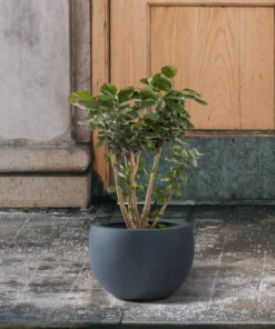 KANTE 8 in. H Charcoal Concrete and Fiberglass Round Bowl Planter, Outdoor Indoor Large Planters Pots with Drainage -Vigoro sales Store charcoal kante plant pots rc0049a c60121 4f 1000