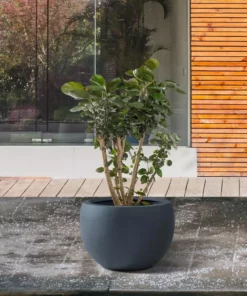 KANTE 8 in. H Charcoal Concrete and Fiberglass Round Bowl Planter, Outdoor Indoor Large Planters Pots with Drainage -Vigoro sales Store charcoal kante plant pots rc0049a c60121 fa 1000