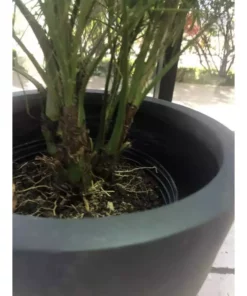 KANTE Medium 10 in. Tall Charcoal Lightweight Concrete Round Outdoor Bowl Planter -Vigoro sales Store charcoal kante plant pots rc0051c c60121 44 1000