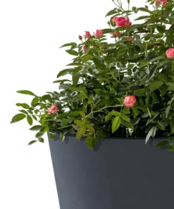 KANTE 20.9", 17.7", 15" & 12.6"H Cylindrical Charcoal Finish Lightweight Concrete Modern Planters Set of 4, Outdoor Indoor -Vigoro sales Store charcoal kante plant pots rc0154bcde c60121 fa 1000
