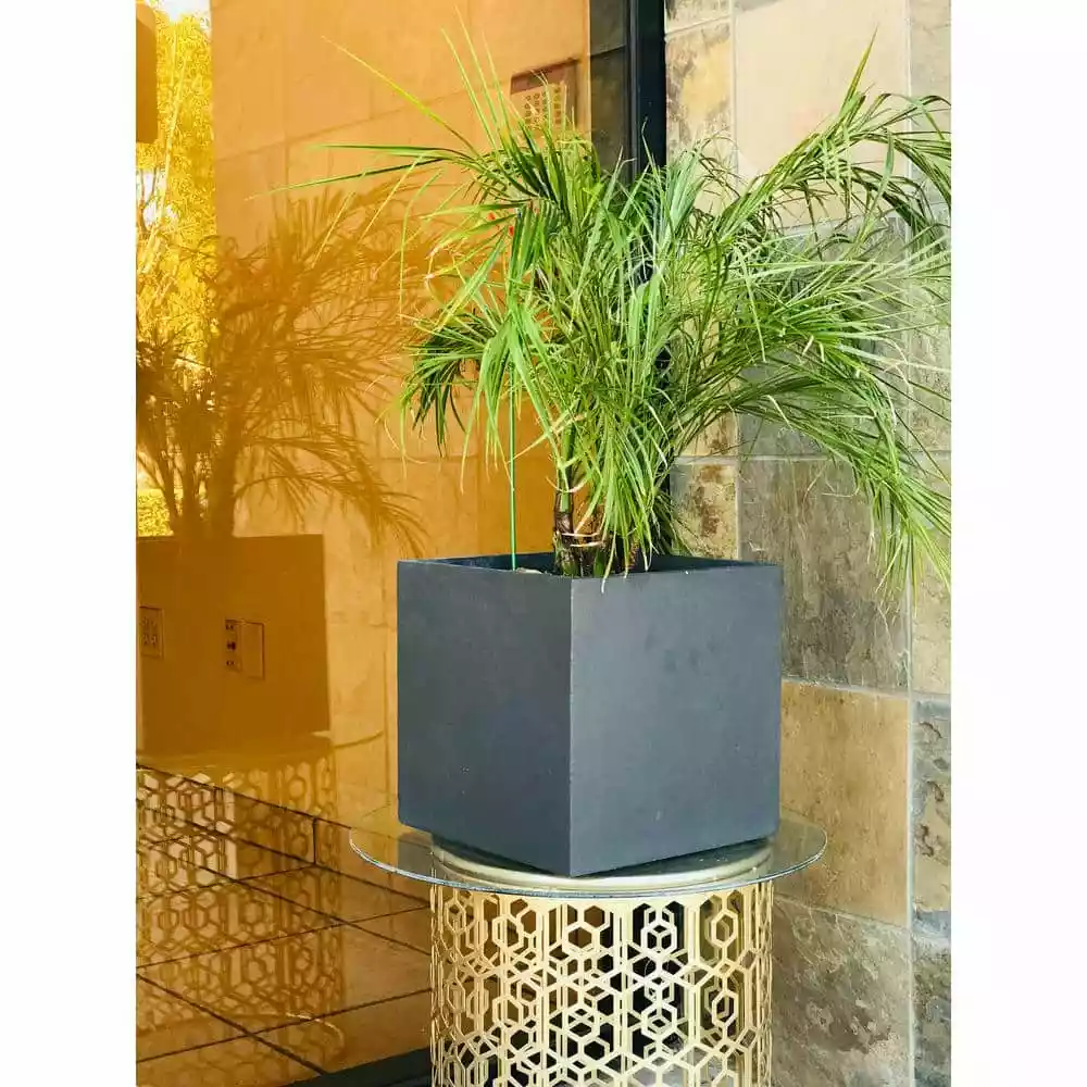 KANTE 12 in. Tall Charcoal Lightweight Concrete Square Modern Outdoor Planter 4 KANTE 12 in. Tall Charcoal Lightweight Concrete Square Modern Outdoor Planter - Image 2