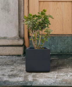 KANTE 11.81 x 11.81 in. Square Charcoal Lightweight Concrete and Weather Resistant Fiberglass Planter w/Drainage Hole -Vigoro sales Store charcoal kante plant pots rf0221b c60121 44 1000