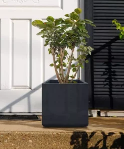 KANTE 11.81 x 11.81 in. Square Charcoal Lightweight Concrete and Weather Resistant Fiberglass Planter w/Drainage Hole -Vigoro sales Store charcoal kante plant pots rf0221b c60121 76 1000