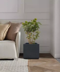 KANTE 11.81 x 11.81 in. Square Charcoal Lightweight Concrete and Weather Resistant Fiberglass Planter w/Drainage Hole -Vigoro sales Store charcoal kante plant pots rf0221b c60121 fa 1000