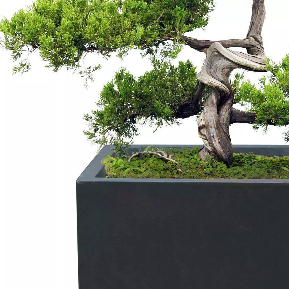 KANTE 31.4" & 23.6"L Rectangular Charcoal Finish Lightweight Concrete Long Planters w/Drainage Hole Set of 2, Outdoor/Indoor 7 KANTE 31.4" & 23.6"L Rectangular Charcoal Finish Lightweight Concrete Long Planters w/Drainage Hole Set of 2, Outdoor/Indoor - Image 5