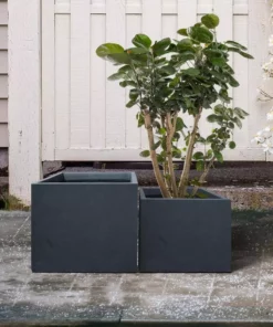 KANTE 17.3 in. W Square Charcoal Lightweight Concrete and Fiberglass Planters with Drainage Holes (Set of 2) 12 KANTE 17.3 in. W Square Charcoal Lightweight Concrete and Fiberglass Planters with Drainage Holes (Set of 2) -Vigoro sales Store charcoal kante plant pots rf2015015bc c60121 1f 1000