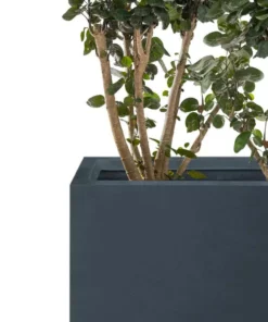 KANTE 17.3 in. W Square Charcoal Lightweight Concrete and Fiberglass Planters with Drainage Holes (Set of 2) 11 KANTE 17.3 in. W Square Charcoal Lightweight Concrete and Fiberglass Planters with Drainage Holes (Set of 2) -Vigoro sales Store charcoal kante plant pots rf2015015bc c60121 4f 1000