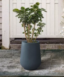 KANTE 10.63 in. x 13.78 in. Round Charcoal Lightweight Concrete and Weather Resistant Fiberglass Planter w/Drainage Hole 16 KANTE 10.63 in. x 13.78 in. Round Charcoal Lightweight Concrete and Weather Resistant Fiberglass Planter w/Drainage Hole -Vigoro sales Store charcoal kante plant pots rf2015023c c60121 fa 1000