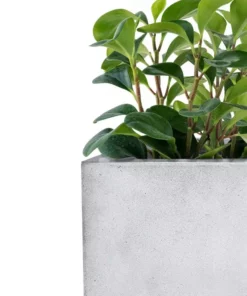 KANTE 31" and 23"L Rectangular Large Concrete Long Box Planters Set of 2, Outdoor/Indoor Strong UV Resistant w/Drainage Holes -Vigoro sales Store concrete kante plant pots rf0104ab c81921 76 1000