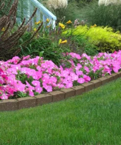 Vigoro Roman Stone 48 in. Rubber Garden Edging Earth (Pack of 2) 13 Vigoro Roman Stone 48 in. Rubber Garden Edging Earth (Pack of 2) -Vigoro sales Store earth vigoro rubber edging mt5001789cm 31 1000