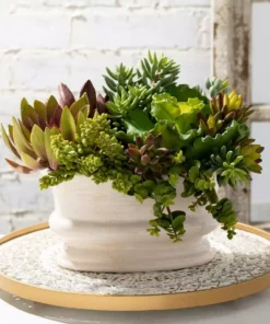 SULLIVANS Ivory Low Oval Ceramic Planter 10 SULLIVANS Ivory Low Oval Ceramic Planter -Vigoro sales Store glaze sullivans plant pots cm2342 1f 1000