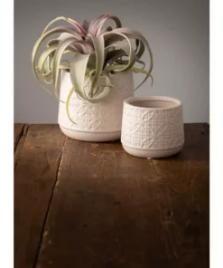 Vigoro sales Store 4 Vigoro sales Store -Vigoro sales Store gray sullivans plant pots cm2943 c3 1000