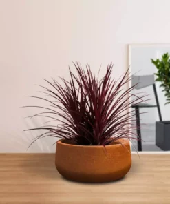 KANTE 16 in. Dia. Round Iron Oxide Concrete Bowl Planter, Outdoor Indoor Large Planter Pot with Drainage Hole 15 KANTE 16 in. Dia. Round Iron Oxide Concrete Bowl Planter, Outdoor Indoor Large Planter Pot with Drainage Hole -Vigoro sales Store iron oxide kante plant pots rc0051b c80621 1f 1000