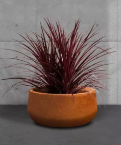 KANTE 16 in. Dia. Round Iron Oxide Concrete Bowl Planter, Outdoor Indoor Large Planter Pot with Drainage Hole 16 KANTE 16 in. Dia. Round Iron Oxide Concrete Bowl Planter, Outdoor Indoor Large Planter Pot with Drainage Hole -Vigoro sales Store iron oxide kante plant pots rc0051b c80621 44 1000