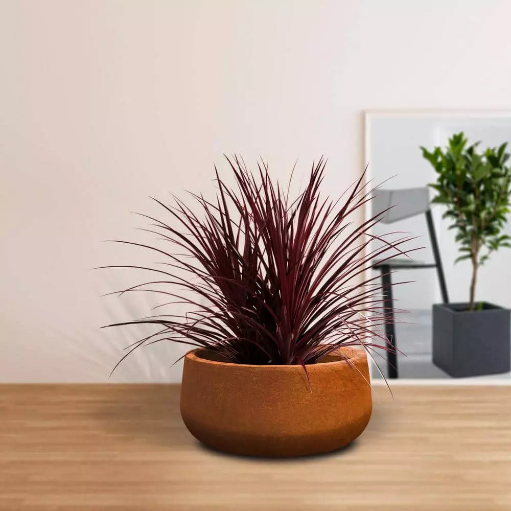 KANTE 16 in. Dia. Round Iron Oxide Concrete Bowl Planter, Outdoor Indoor Large Planter Pot with Drainage Hole 4 KANTE 16 in. Dia. Round Iron Oxide Concrete Bowl Planter, Outdoor Indoor Large Planter Pot with Drainage Hole - Image 2