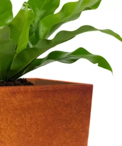 KANTE 28 in. H Iron Oxide Lightweight Concrete Tapered Planter with Drainage Hole, Large Outdoor/Indoor Tall Square Planter -Vigoro sales Store iron oxide kante plant pots rf0229a s c80621 31 1000