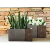 KANTE 31 in and 23 in. L Rectangular Lodgepole Concrete/Fiberglass Indoor Outdoor Elegant Long Planters (Set of 2) -Vigoro sales Store lodgepole kante plant pots osf0219ab c81051 64 1000