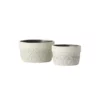SULLIVANS Multi-Color Cement Dish Garden Pot (Set of 2)