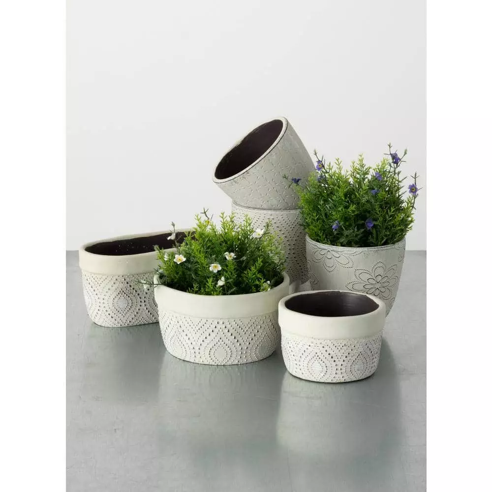 SULLIVANS Multi-Color Cement Dish Garden Pot (Set of 2) 4 SULLIVANS Multi-Color Cement Dish Garden Pot (Set of 2) - Image 2