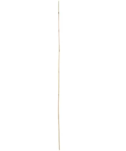 Vigoro 5 ft. Natural Bamboo Stake 14 Vigoro 5 ft. Natural Bamboo Stake -Vigoro sales Store natural bamboo beige vigoro tomato cages bb5vg 1f 1000