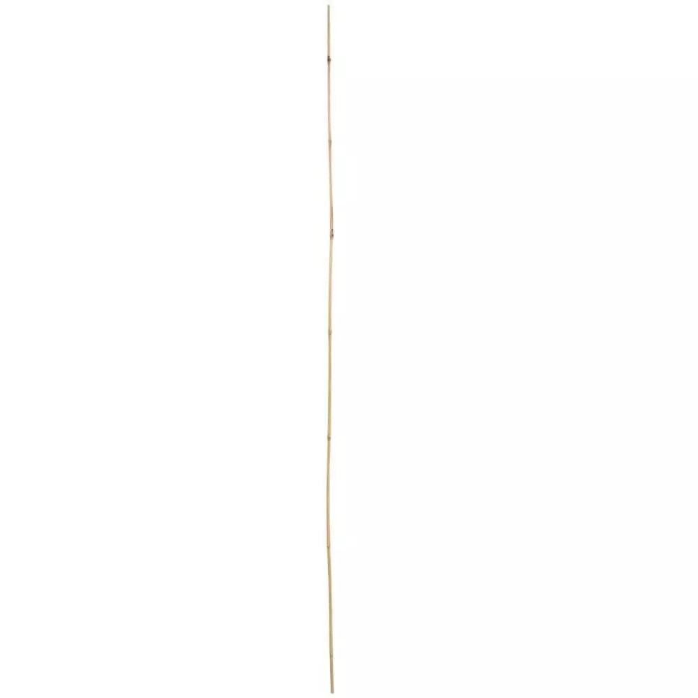Vigoro 5 ft. Natural Bamboo Stake 7 Vigoro 5 ft. Natural Bamboo Stake - Image 5