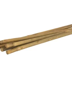 Vigoro 5 ft. Natural Bamboo Stake 13 Vigoro 5 ft. Natural Bamboo Stake -Vigoro sales Store natural bamboo beige vigoro tomato cages bb5vg 4f 1000