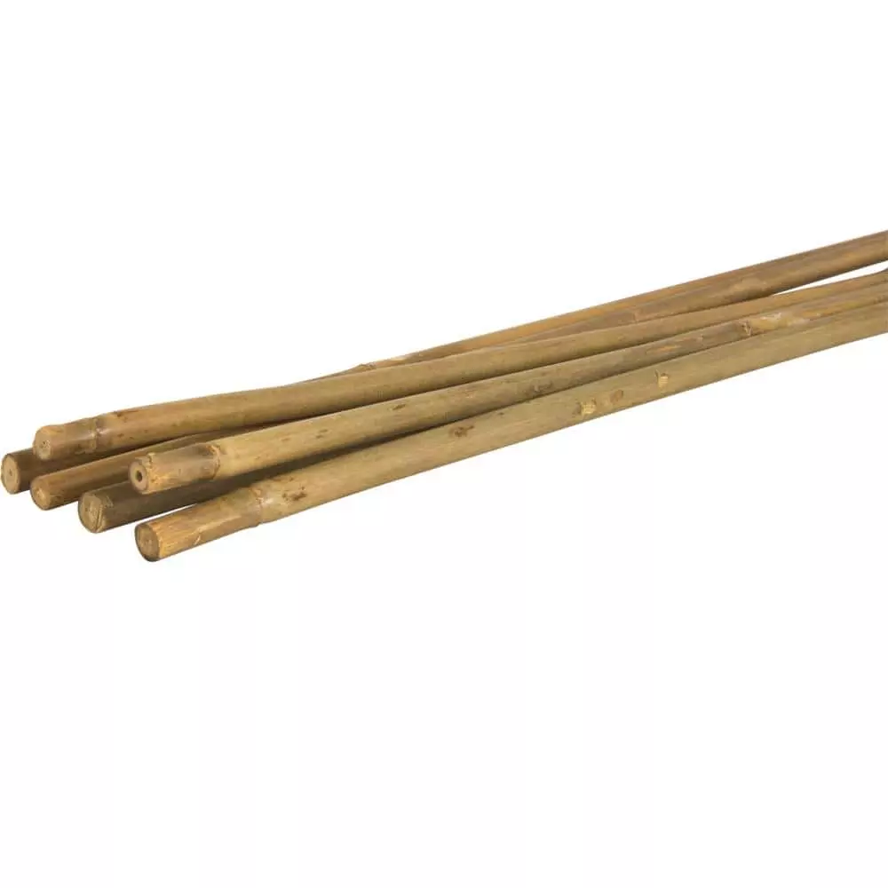 Vigoro 5 ft. Natural Bamboo Stake 6 Vigoro 5 ft. Natural Bamboo Stake - Image 4