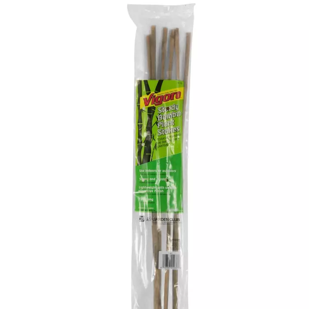 Vigoro Bamboo 6 ft. Natural Stake 5 Vigoro Bamboo 6 ft. Natural Stake - Image 3