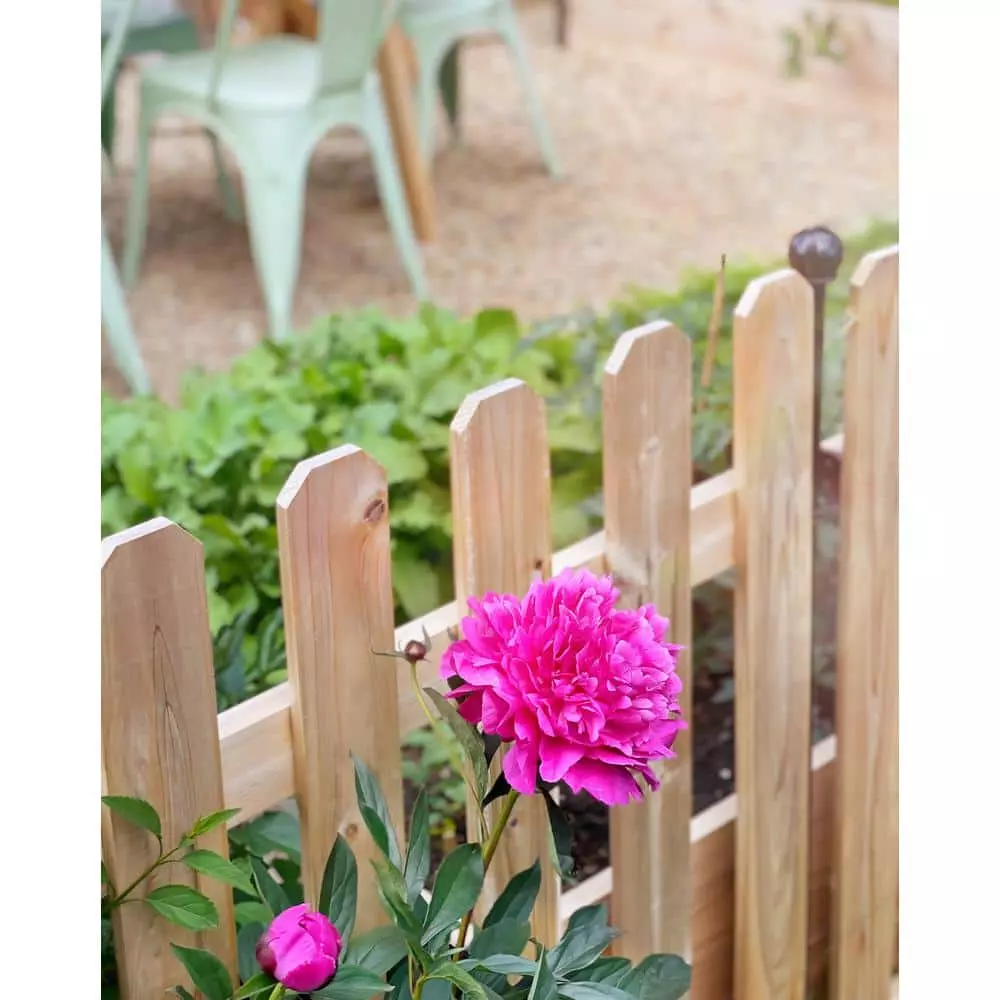 Vigoro 37.1 in. H x 45.35 in. W Cedar Garden Fence Panel 11 Vigoro 37.1 in. H x 45.35 in. W Cedar Garden Fence Panel - Image 9