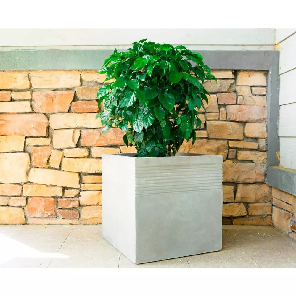 KANTE 15 in. W Square Natural Concrete/Fiberglass Indoor Outdoor Elegant Planter 10 KANTE 15 in. W Square Natural Concrete/Fiberglass Indoor Outdoor Elegant Planter - Image 8
