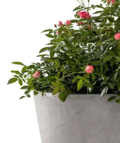 KANTE Large, Medium, Small Round Natural Finish Lightweight Concrete and Weather Resistant Fiberglass Planters (Set of 3) -Vigoro sales Store natural concrete kante plant pots rc0154bcd c80021 1f 1000