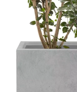 KANTE 6.89"W x 19.49"L x 15.94"H Rectangular Natural Finish Lightweight Concrete and Fiberglass Long Planter w/ Drainage Hole 14 KANTE 6.89"W x 19.49"L x 15.94"H Rectangular Natural Finish Lightweight Concrete and Fiberglass Long Planter w/ Drainage Hole -Vigoro sales Store natural concrete kante plant pots rf0260a c80021 1f 1000