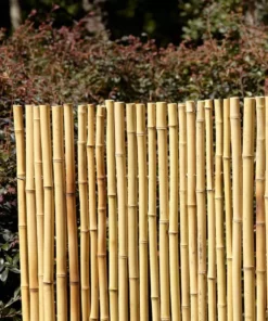 Vigoro 4 ft. H x 6 ft. W Natural Bamboo Fence -Vigoro sales Store natural vigoro garden fencing 4477405 44 1000