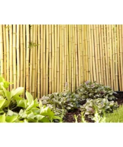 Vigoro 4 ft. H x 6 ft. W Natural Bamboo Fence -Vigoro sales Store natural vigoro garden fencing 4477405 c3 1000