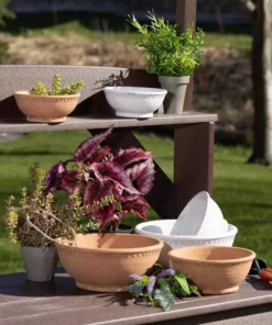 SULLIVANS Adobe Cement Dish Planter - Set of 3 -Vigoro sales Store orange sullivans plant pots cmt1218 4f 1000