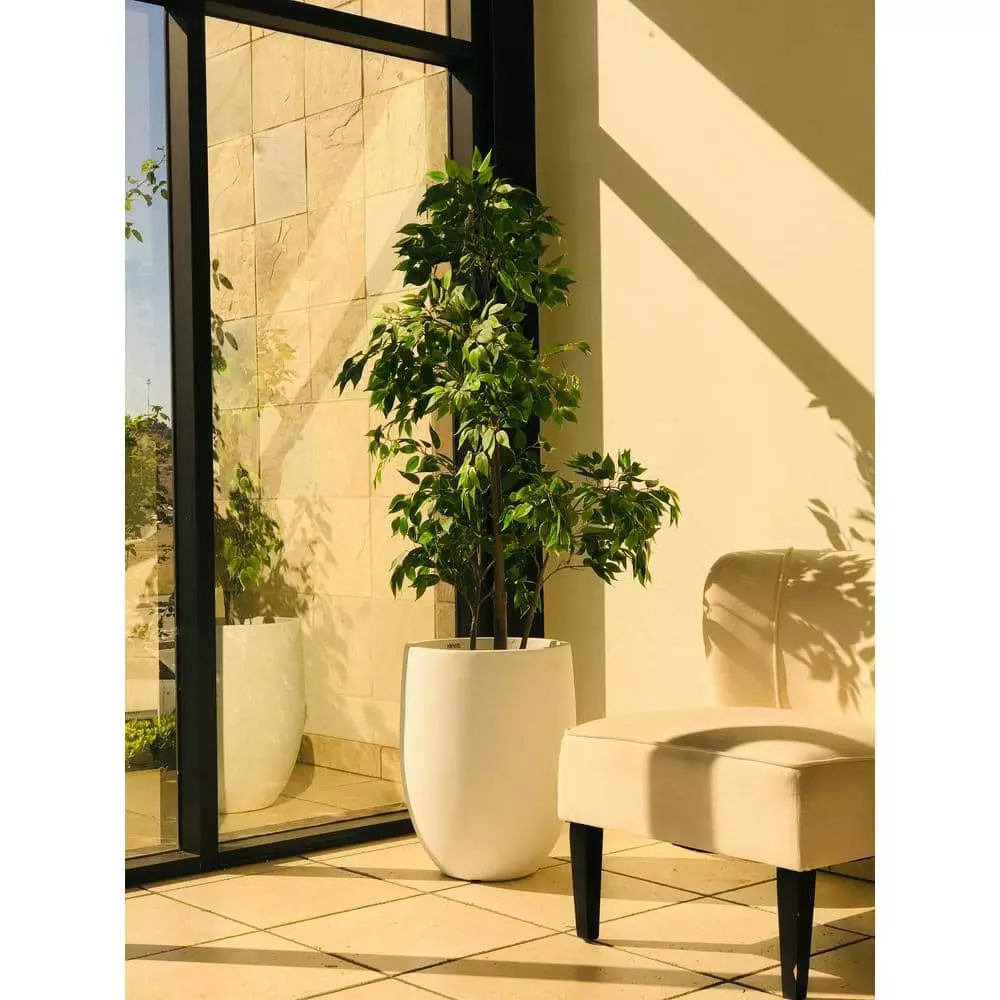 KANTE 21.7 in. H Round Pure White Concrete Indoor Outdoor Modern Tall Planter 11 KANTE 21.7 in. H Round Pure White Concrete Indoor Outdoor Modern Tall Planter - Image 9