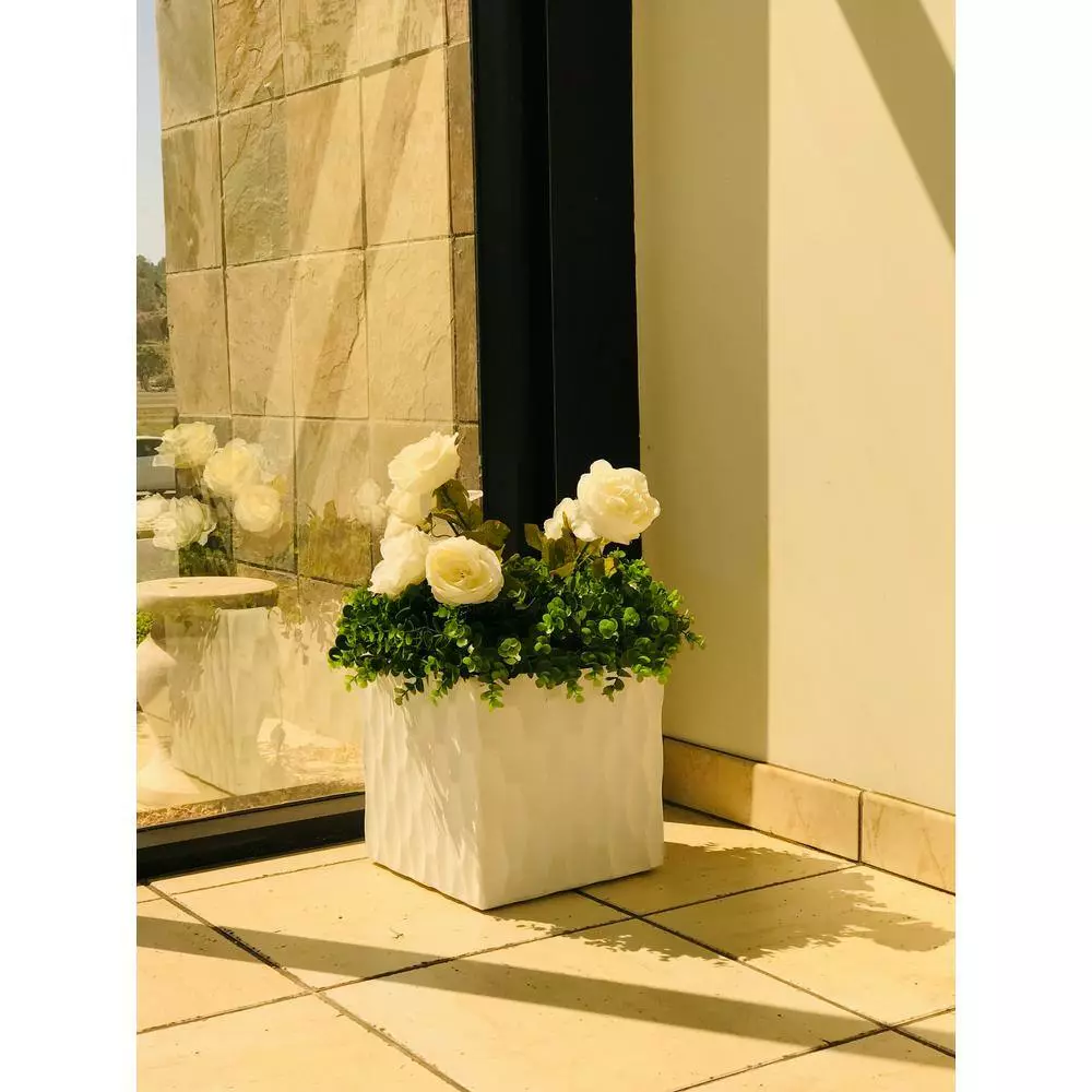KANTE 12 in. H Square Pure White Concrete/Fiberglass Indoor Outdoor Elegant Retro Planter 5 KANTE 12 in. H Square Pure White Concrete/Fiberglass Indoor Outdoor Elegant Retro Planter - Image 3